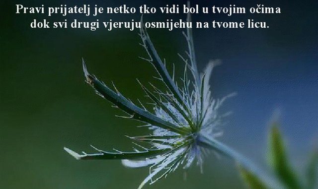 pravi-prijatelj-je-netko-tko-vidi-bol-u-tvojim-oc48dima-dok-svi-drugi-vjeruju-osmijehu-na-tvome-licu