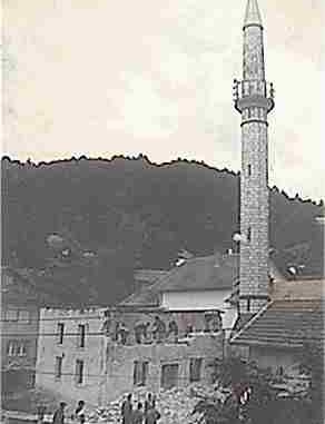 dzihani1